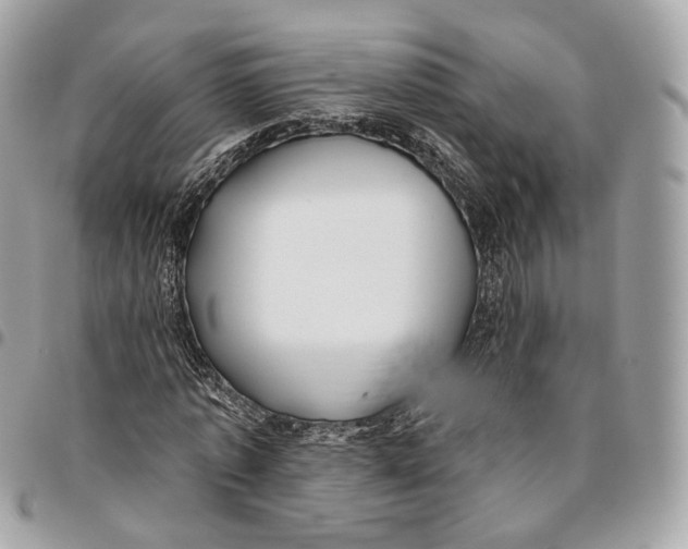 X0000096150773200802081411