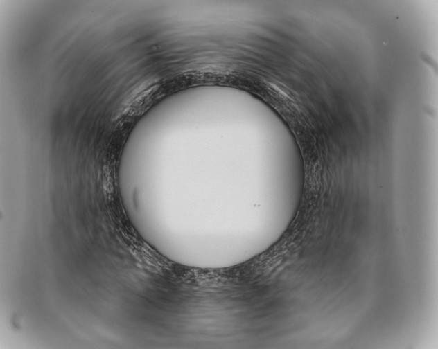 X0000096150774200802081411