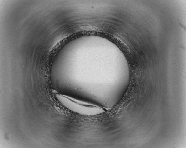 X0000096150775200802081411