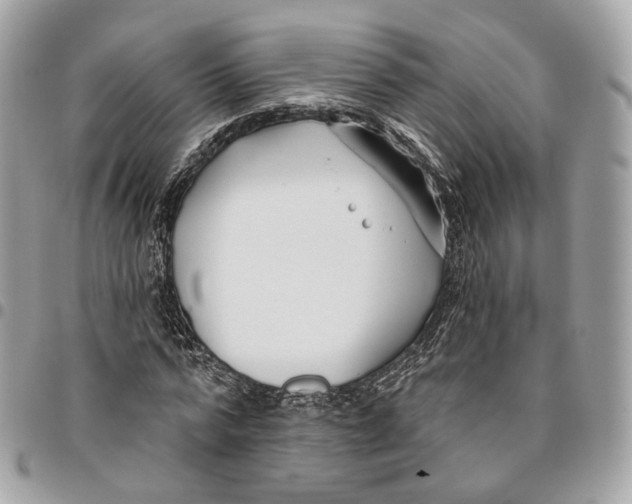 X0000096150776200802081411