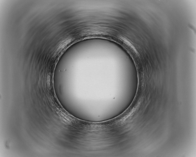 X0000096150777200802081411