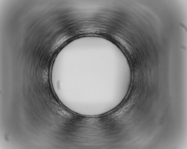 X0000096150778200802081411