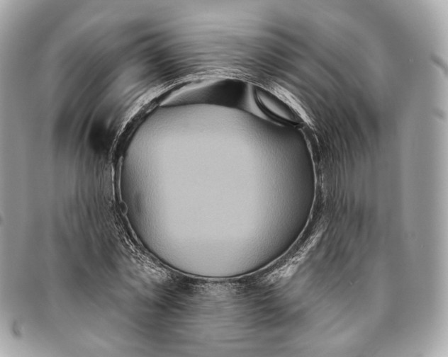 X0000096150781200802081411