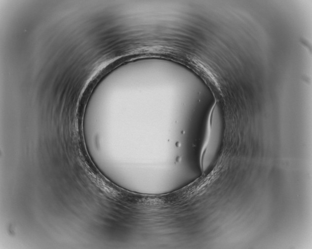 X0000096150784200802081410