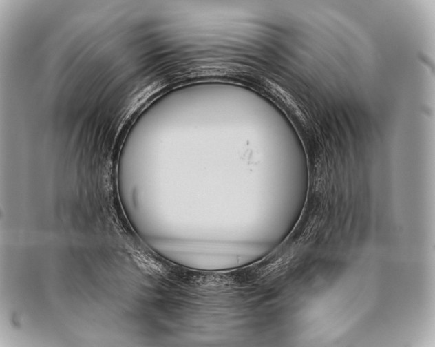 X0000096150786200802081410