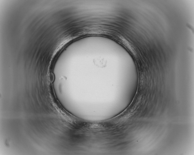 X0000096150787200802081410