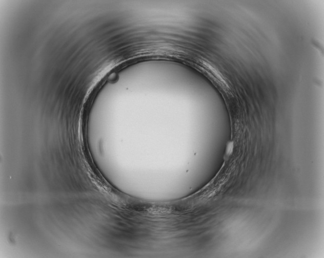 X0000096150788200802081410