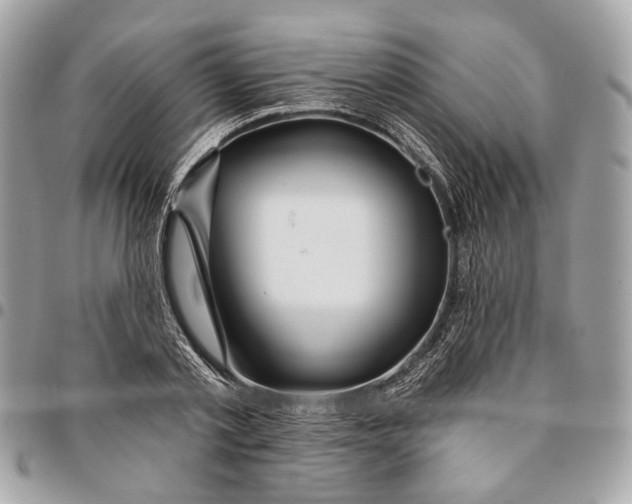 X0000096150789200802081410