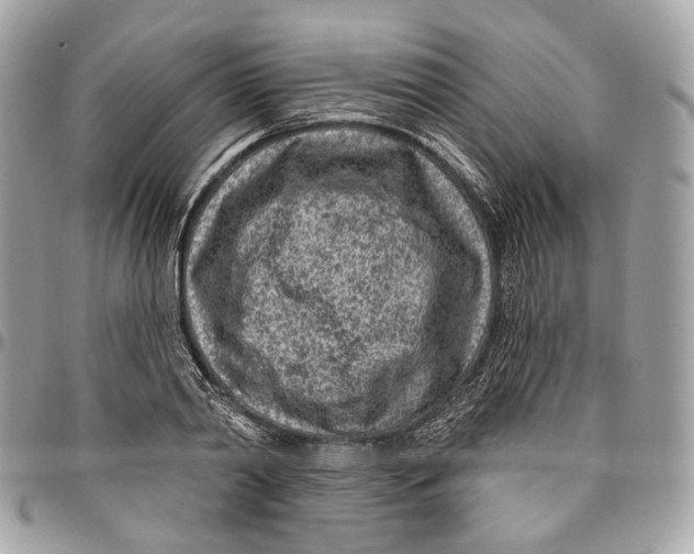 X0000096150790200802081410