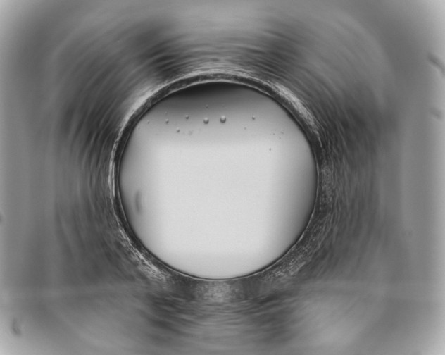 X0000096150791200802081410