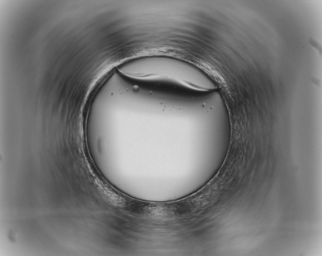 X0000096150792200802081410