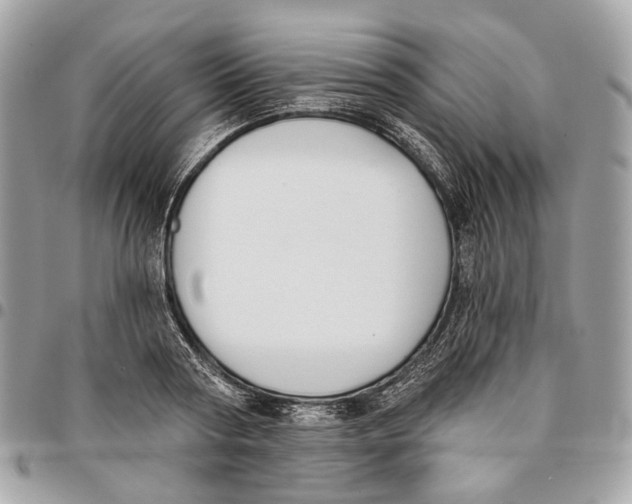 X0000096150794200802081410