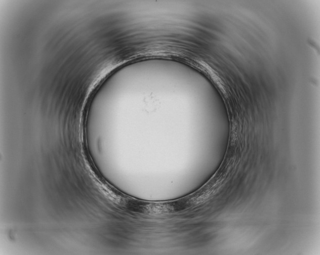 X0000096150795200802081410