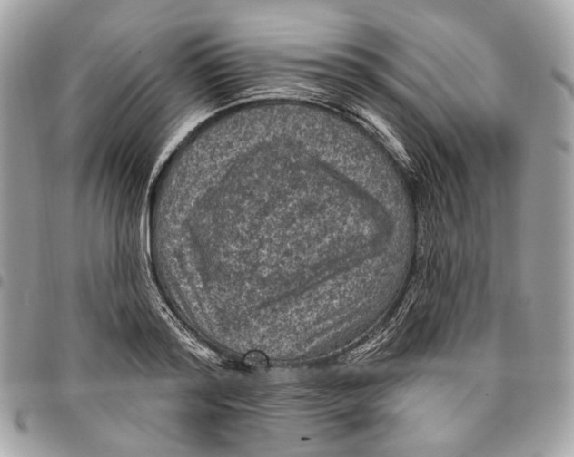 X0000096150796200802081410