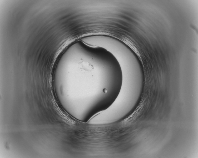 X0000096150797200802081410