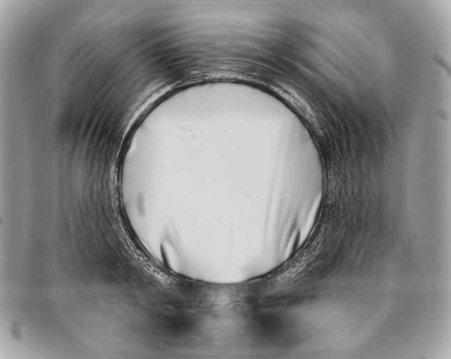 X0000096150798200802081410