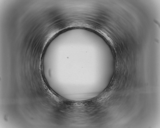 X0000096150799200802081410