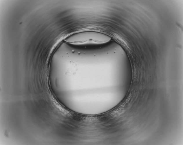 X0000096150800200802081410