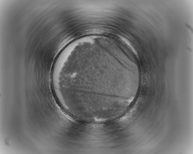 X0000096150802200802081410