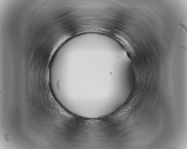 X0000096150804200802081410