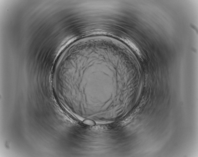 X0000096150806200802081410