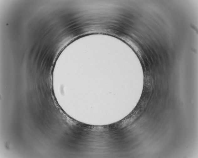 X0000096150807200802081410