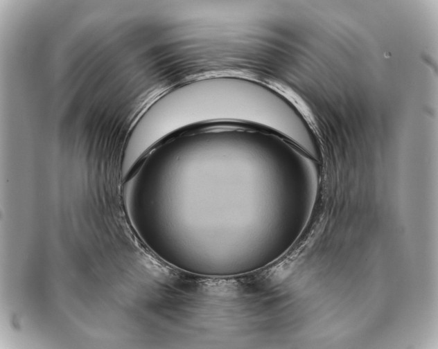 X0000096150809200802081410