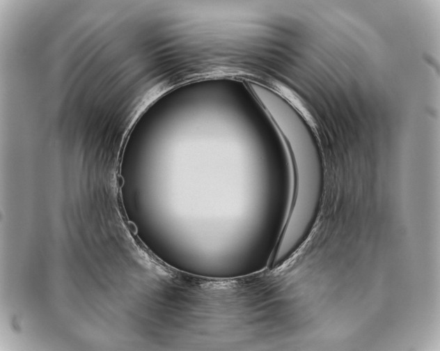 X0000096150810200802081410