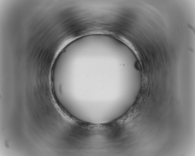 X0000096150811200802081410