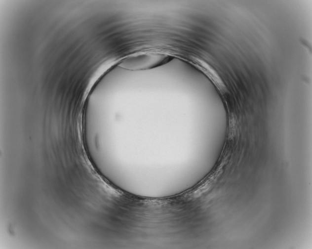 X0000096150812200802081410