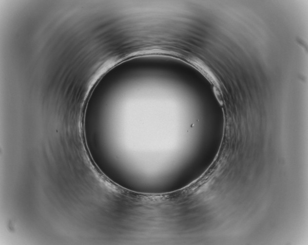 X0000096150813200802081410