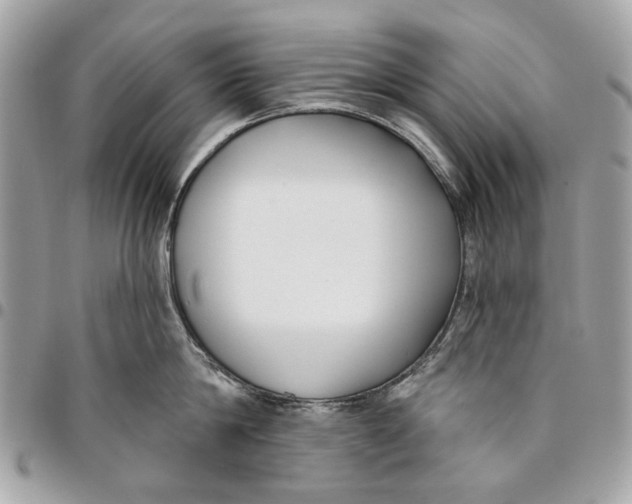 X0000096150814200802081410