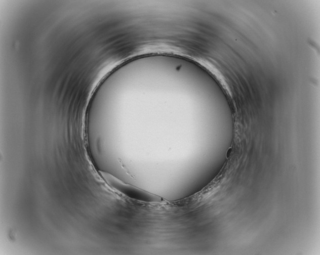 X0000096150815200802081410