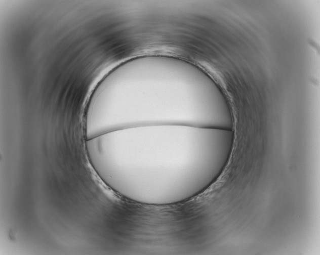 X0000096150816200802081410