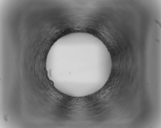 X0000096150817200802081409