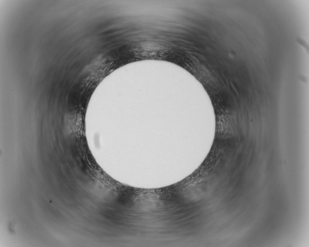 X0000096150820200802081409