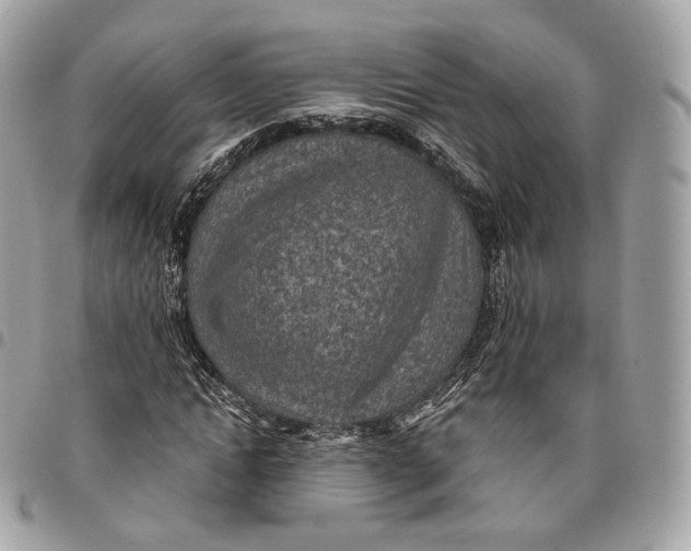 X0000096150822200802081409