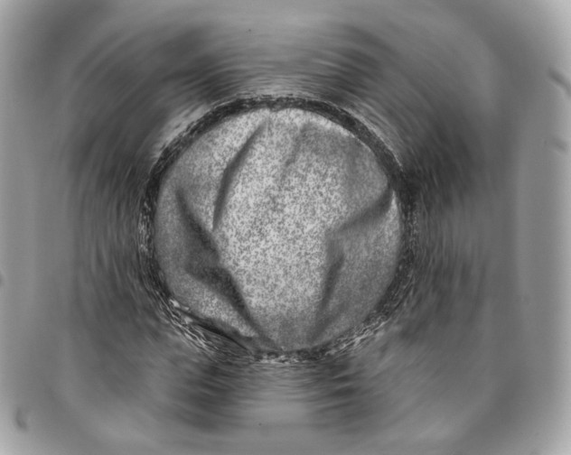 X0000096150823200802081409