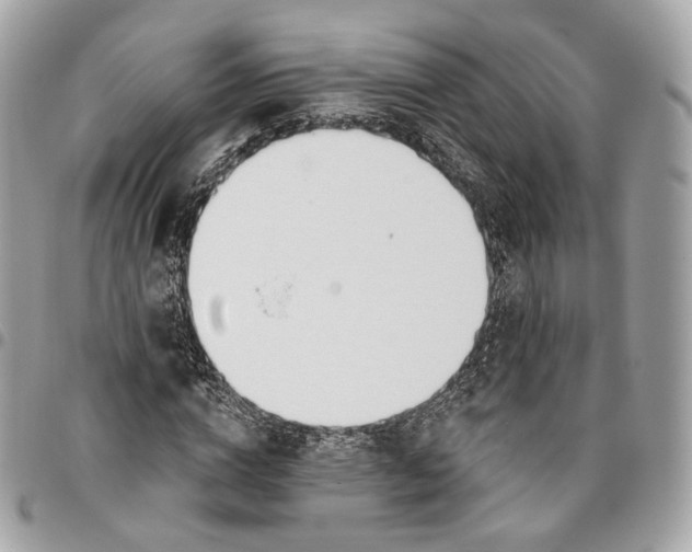 X0000096150824200802081409