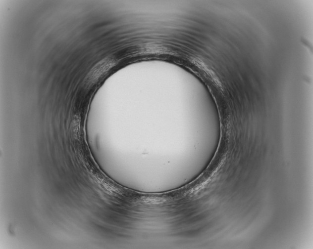 X0000096150825200802081409