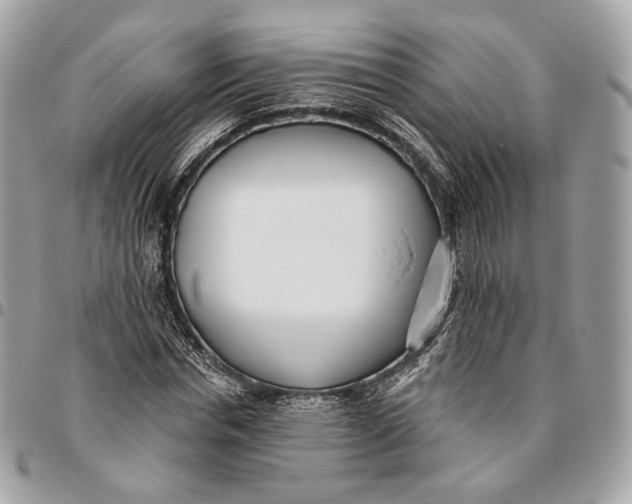 X0000096150826200802081409