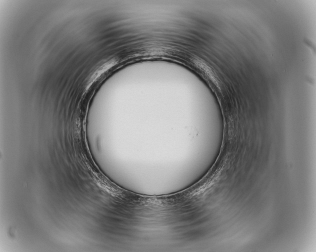 X0000096150827200802081409