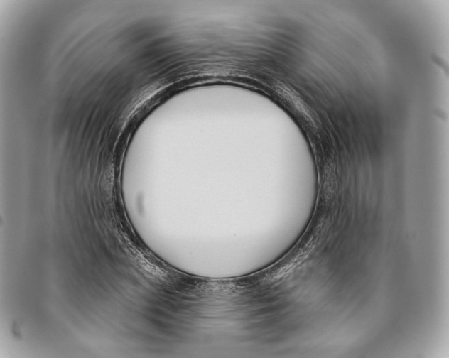 X0000096150831200802081409