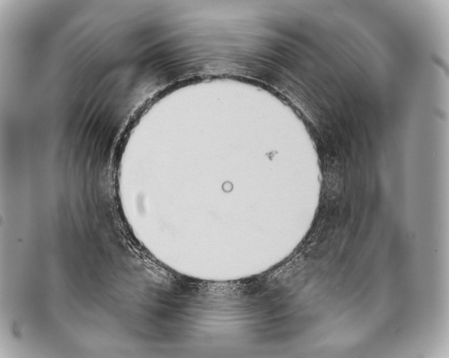 X0000096150832200802081409