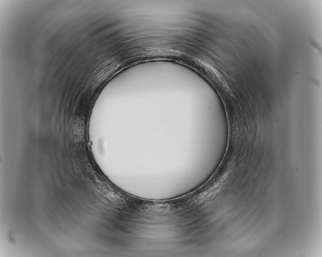 X0000096150833200802081409