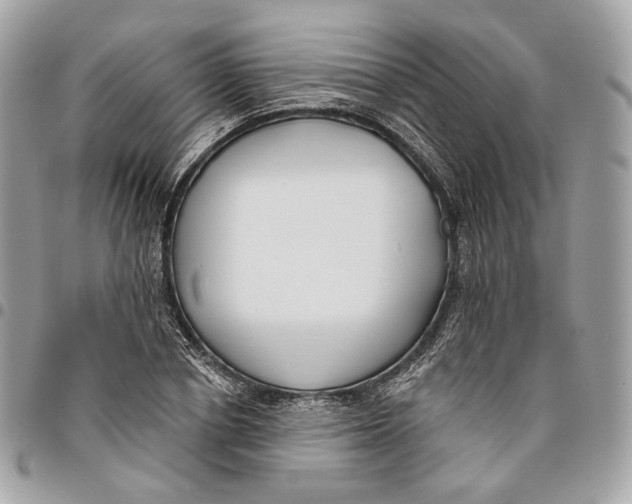 X0000096150834200802081409