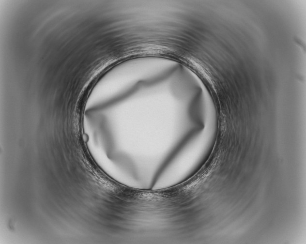 X0000096150835200802081409