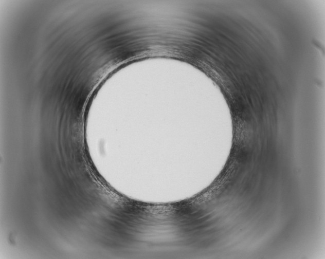 X0000096150836200802081409