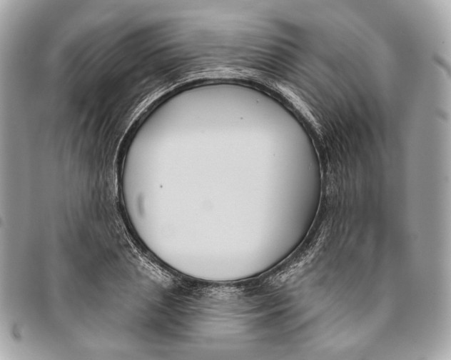 X0000096150837200802081409