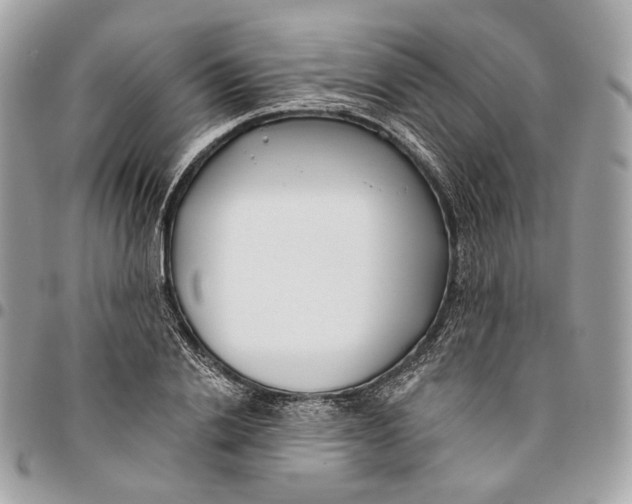 X0000096150838200802081409